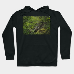 Walk to the Hidden Valley Hoodie